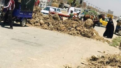 FB IMG 1594640142492