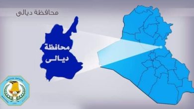 FB IMG 1594646611421