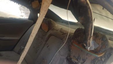 FB IMG 1594845333967