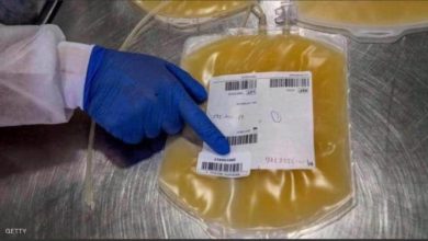 FB IMG 1595093654184