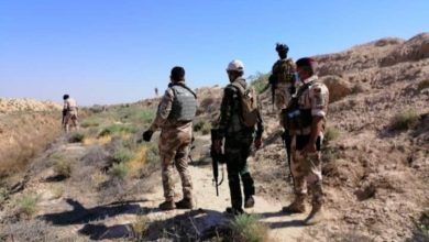 FB IMG 1595678440726