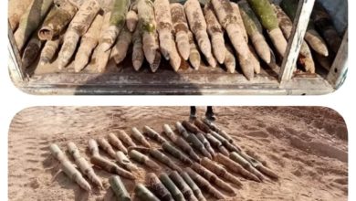 FB IMG 1595839482455