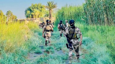 FB IMG 1595937484871