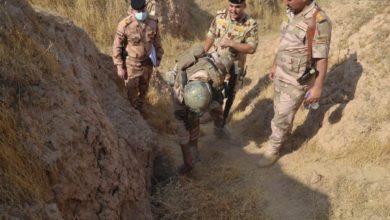 FB IMG 1595937521237