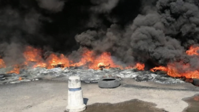 FC97688C D3DC 4451 82B3 EC431D659FDF