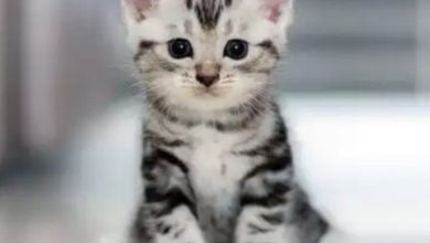 IMG 20200701 230146 445