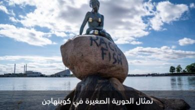 IMG 20200704 044440 486