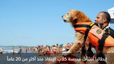 IMG 20200708 050237 121