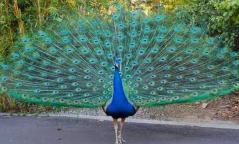 IMG 20200708 205610 550