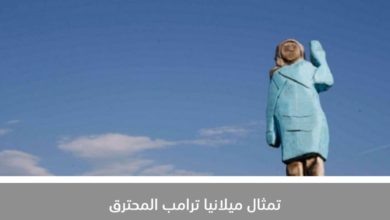 IMG 20200710 042419 579