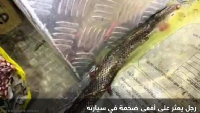 IMG 20200710 184255 491