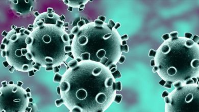 IMG ٢٠٢٠٠٦٢٩ ١٨٢٥٢٣