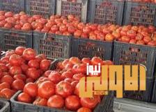 IMG ٢٠٢٠٠٧٠٥ ١٦٥٥٢٩