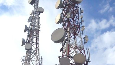 IMG ٢٠٢٠٠٧٠٦ ١٠٥٥١١