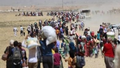 IMG ٢٠٢٠٠٧٠٦ ٢٠٠٨١٢