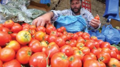 IMG ٢٠٢٠٠٧٠٧ ١٧٠٥١٠ 1