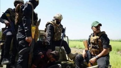 IMG ٢٠٢٠٠٧٢٠ ١٢٠٦٣٩