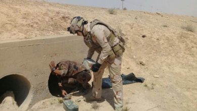 العثور 1068x801 1