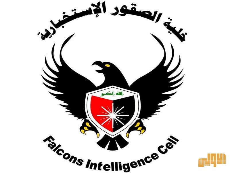 خلية الصقور