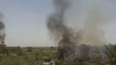 ديالى 1 533x261 1