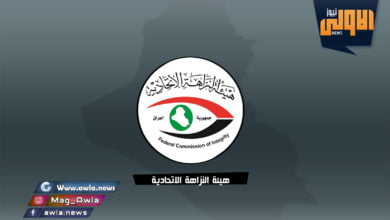 هيئة النزاهة الاتحادية