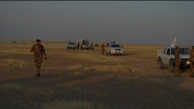 ٢٠٢٠٠٧٠٢ ٠٩٥٢٤١