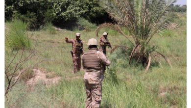 ٢٠٢٠٠٧٠٣ ١٨٠٧٤١