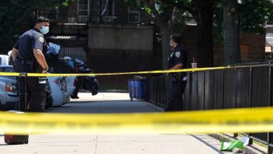 0AE68BD0 2C88 4AC3 9BE9 1591D591C2CD