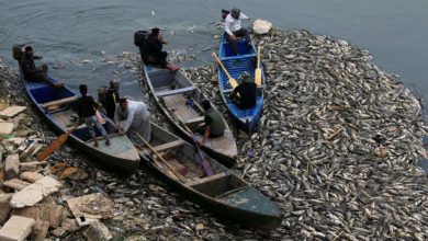 1036575058 0 182 3500 2151 1200x0 80 0 1 c7cd261eac276f7083fb7714495aaec2