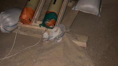 10582020 2989569b a27a 40d6 8c27 5f11acde5b34