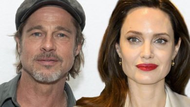 133 013704 angelina jolie stall custody battle with brad pitt 4