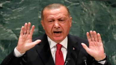 145 074124 erdogan turkey 700x400