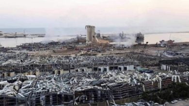 1774E136 88A1 4B25 9B04 8E12421684AD