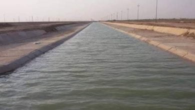 1C8C54E2 9990 4397 999F B75E56F979DD