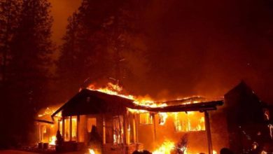 2E442848 F94C 46B6 A1B1 A502FA390885