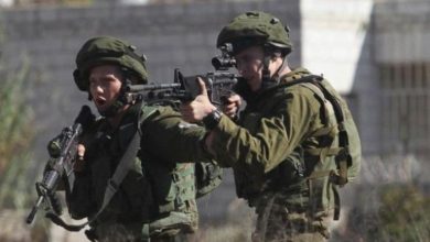 4D6B7689 CA28 49E3 A436 C982E2EA9D46