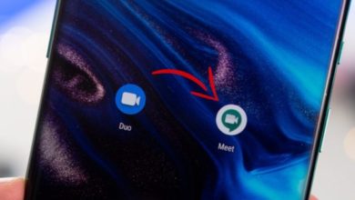 610C09C5 7E7D 4686 9955 DAC218F98BE1