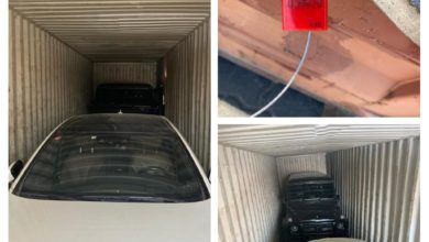 636E034D E560 4B7A 9AA0 37A6A766C395