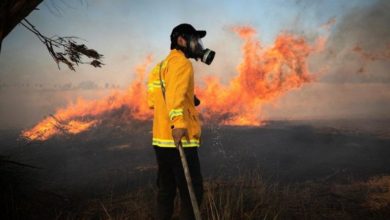 6E495777 6818 42EA B752 D8942A87B1AE