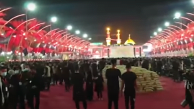 77A995D5 0CE9 431E 83EA E530E7DD51E6