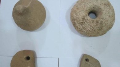 7EE24103 5991 4462 9CCA EC8FBDE28E03