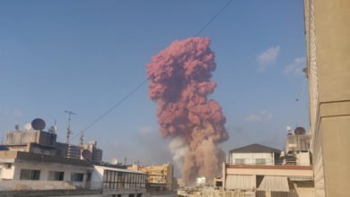 92E5E4C4 C83D 447E B1EA 412279F6650B