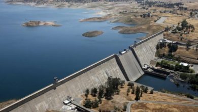 95099E32 A7D9 4572 A5A7 92D161614F03