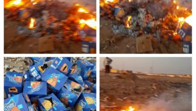 A6F78D43 FB6F 4320 86E6 B4CB38D5CF04