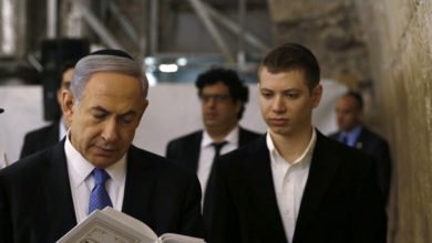 B6EDC796 7A64 4AFE BD4E AFC8A894CE91