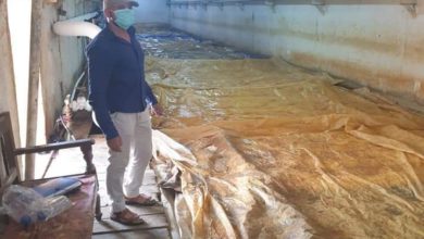 C2F9CDB9 4F9E 448B B2D0 6FB34D33A6F7