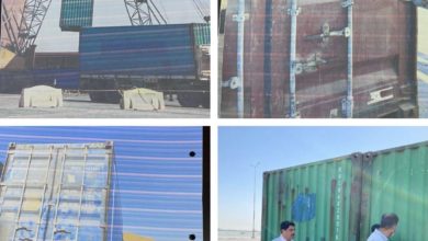 D6A29BE6 E7BC 43A5 8653 0B18A6D19933