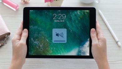 D9F8B19C BAB7 4A7D 9B09 5C678E7936A7