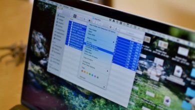 E0AD8DC1 03CA 49E5 9C2F 9B7A34AA71BD