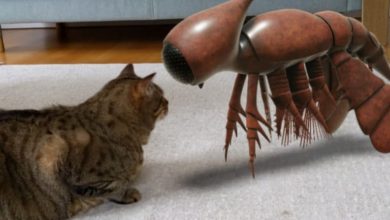 E17B731C 0F8A 489B 9F62 C61B465D21EE